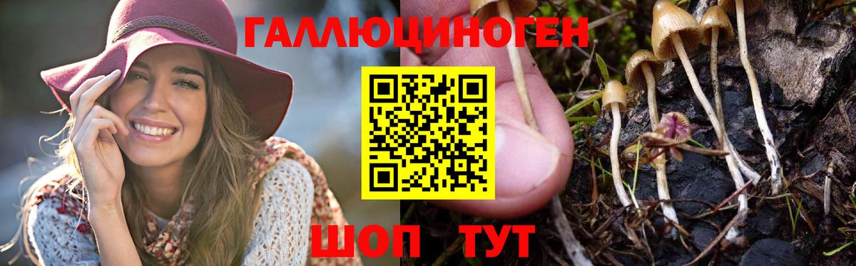 Электросталь  купить  цена  Вход с VPN  Псилоцибиновые грибы ЛСД 